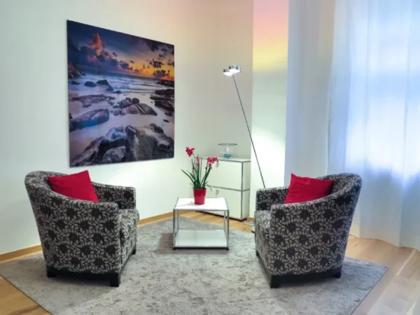 Stylish Printed Sofa Chairs