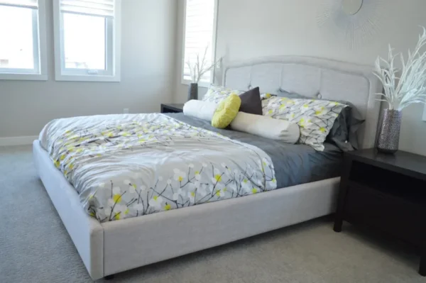 Modern Gray Colored Double Bed