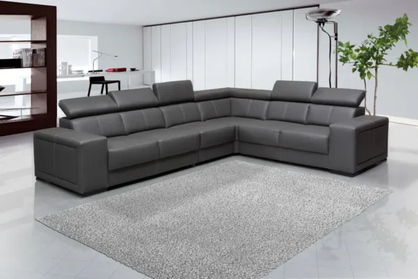 Attractive Gray Colored Sofa
